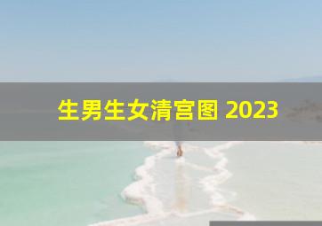 生男生女清宫图 2023